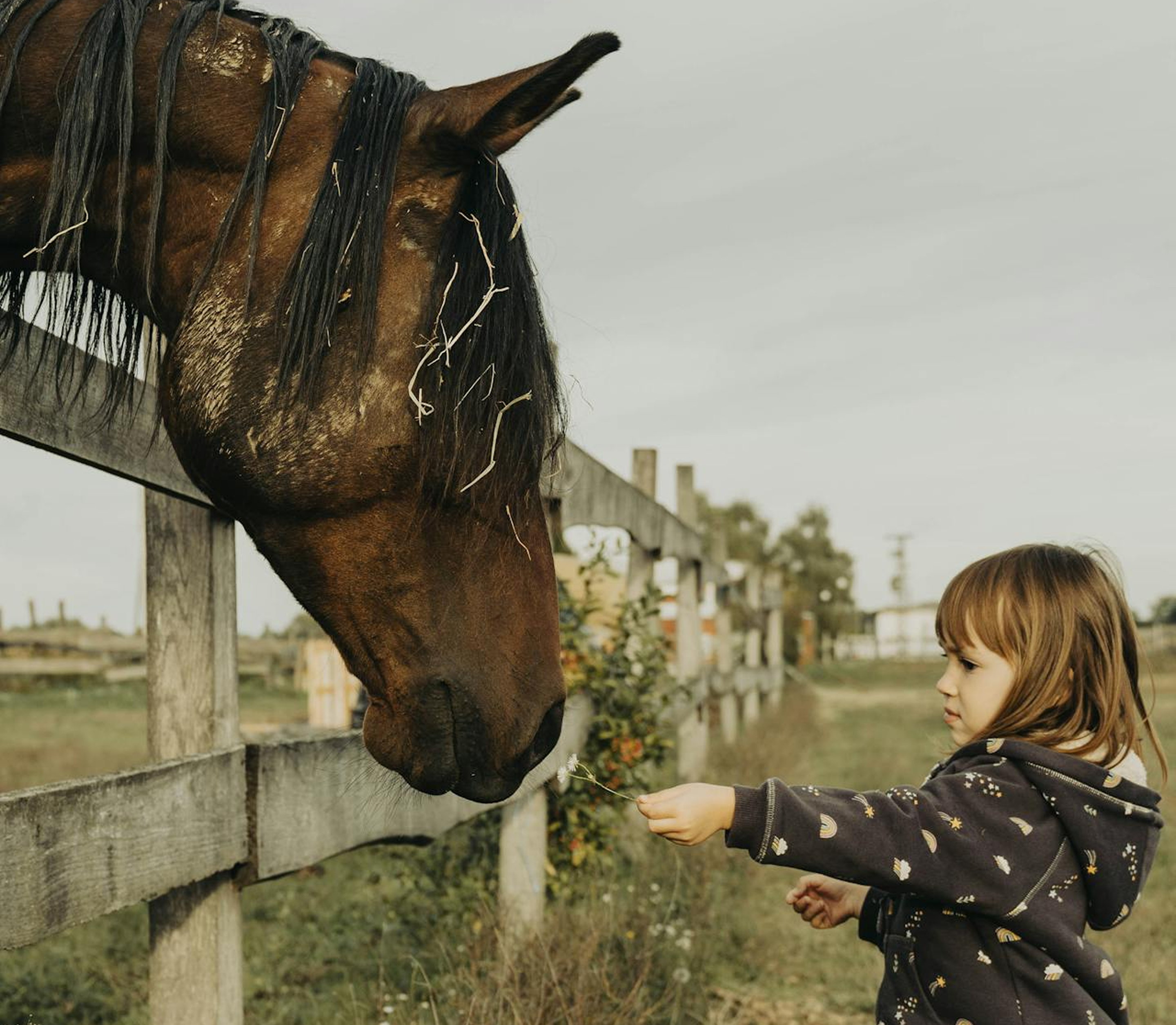 Nature-Based Respite Services
